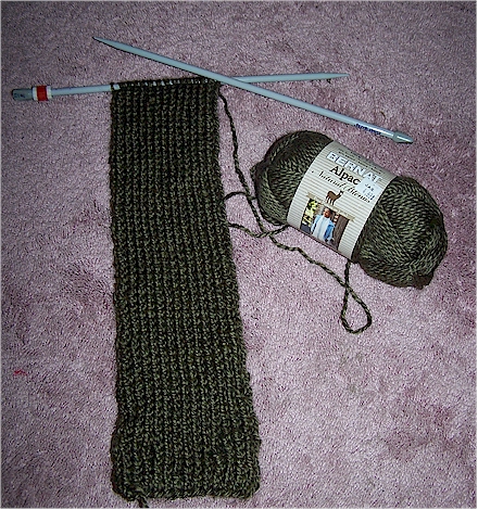 pidge scarf in progress