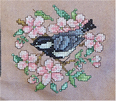 chicadee on right side