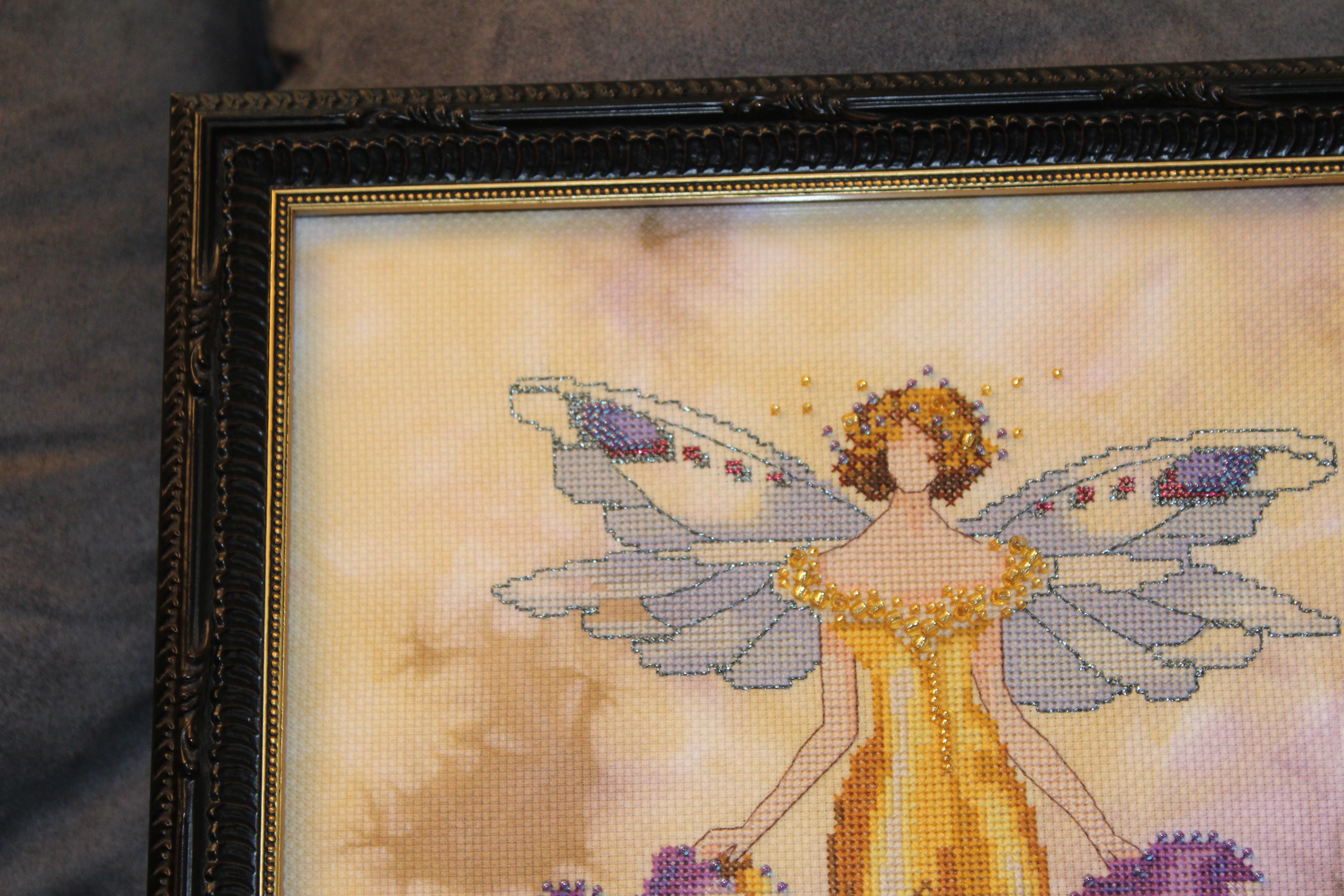 iris-close-up-of-frame