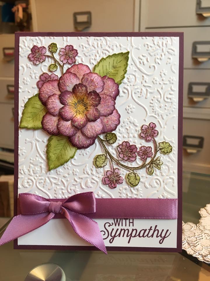 19665594_10213351911617615_2179036371146842016_n