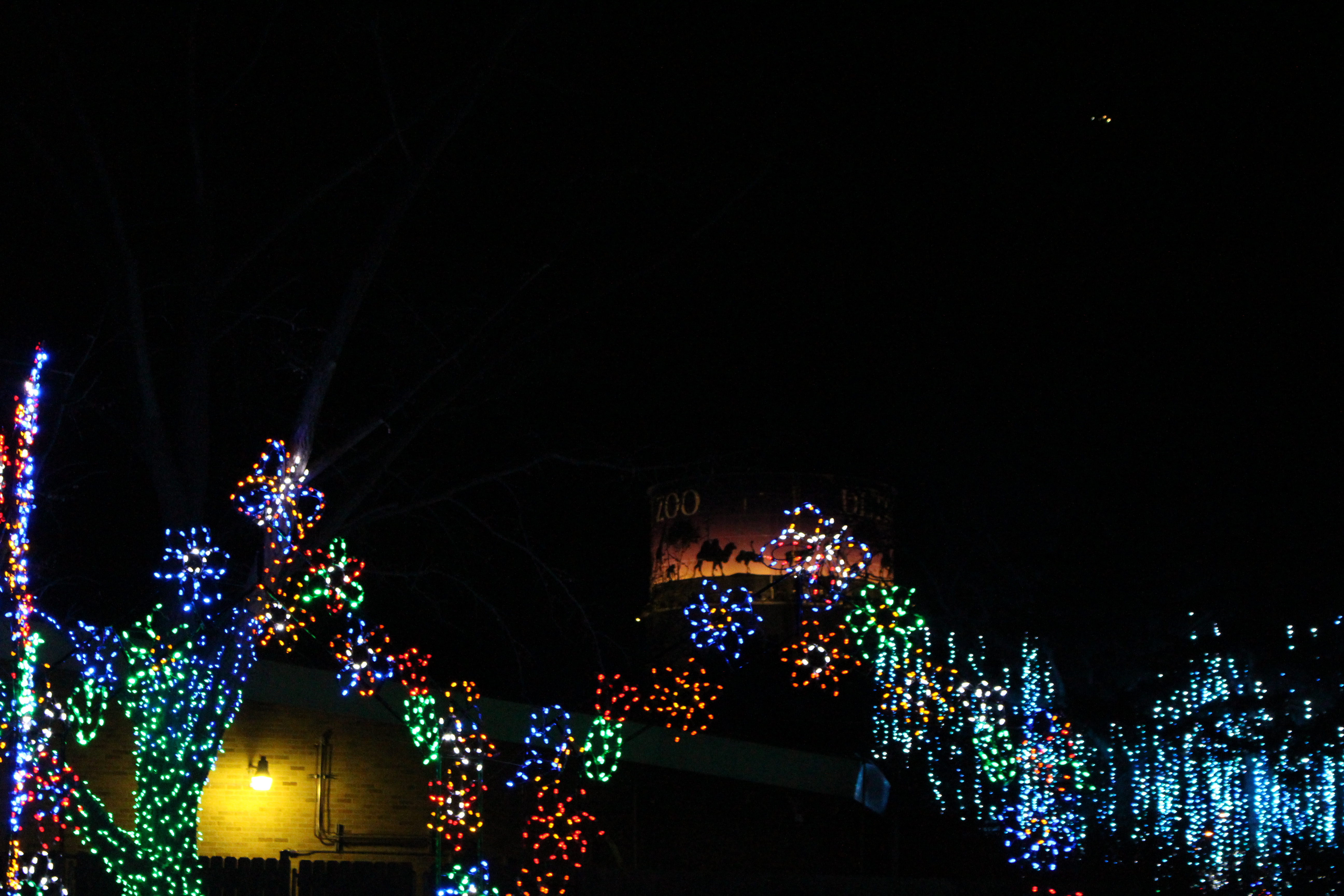 Zoo lights