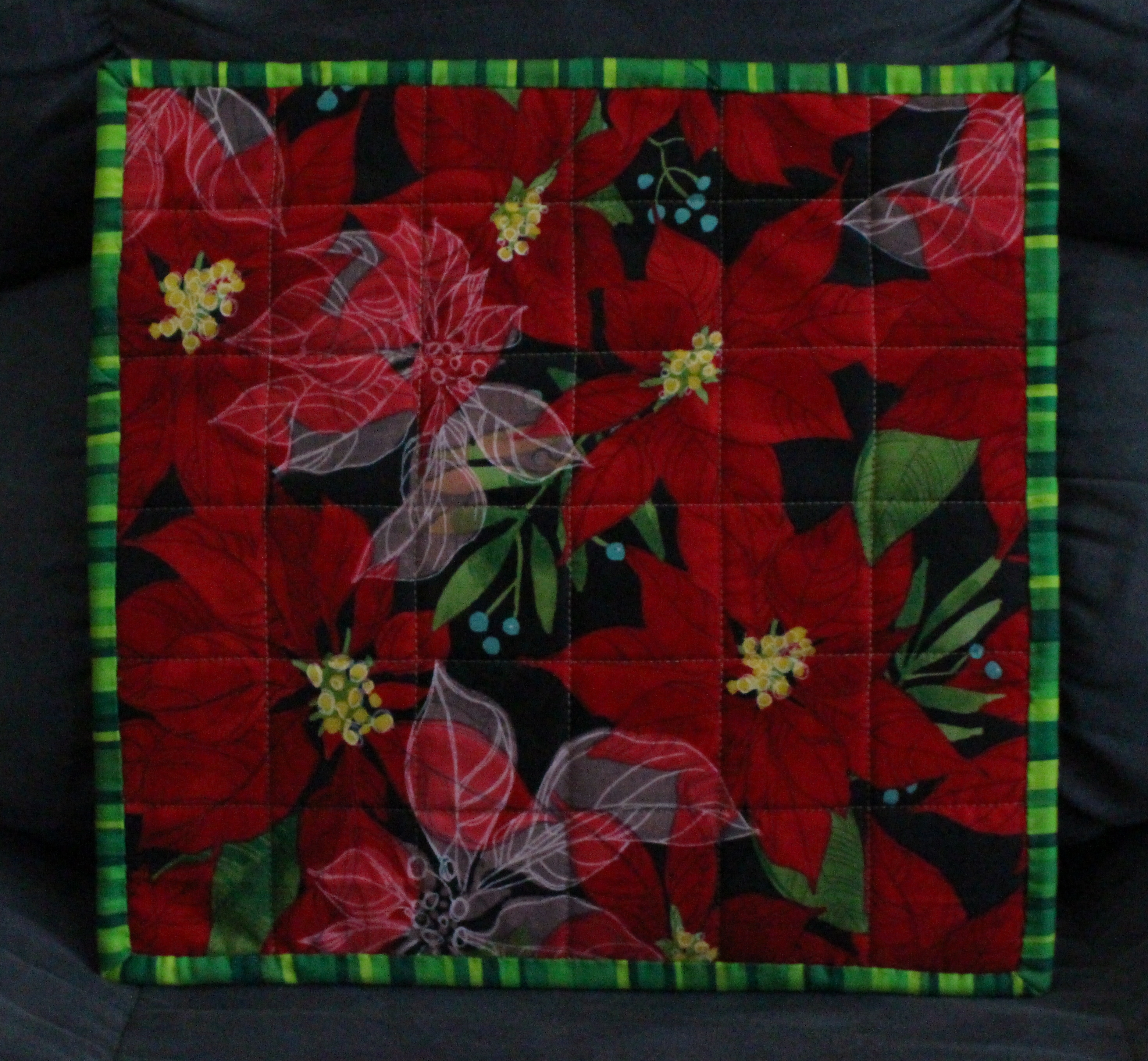 back of christmas project bag