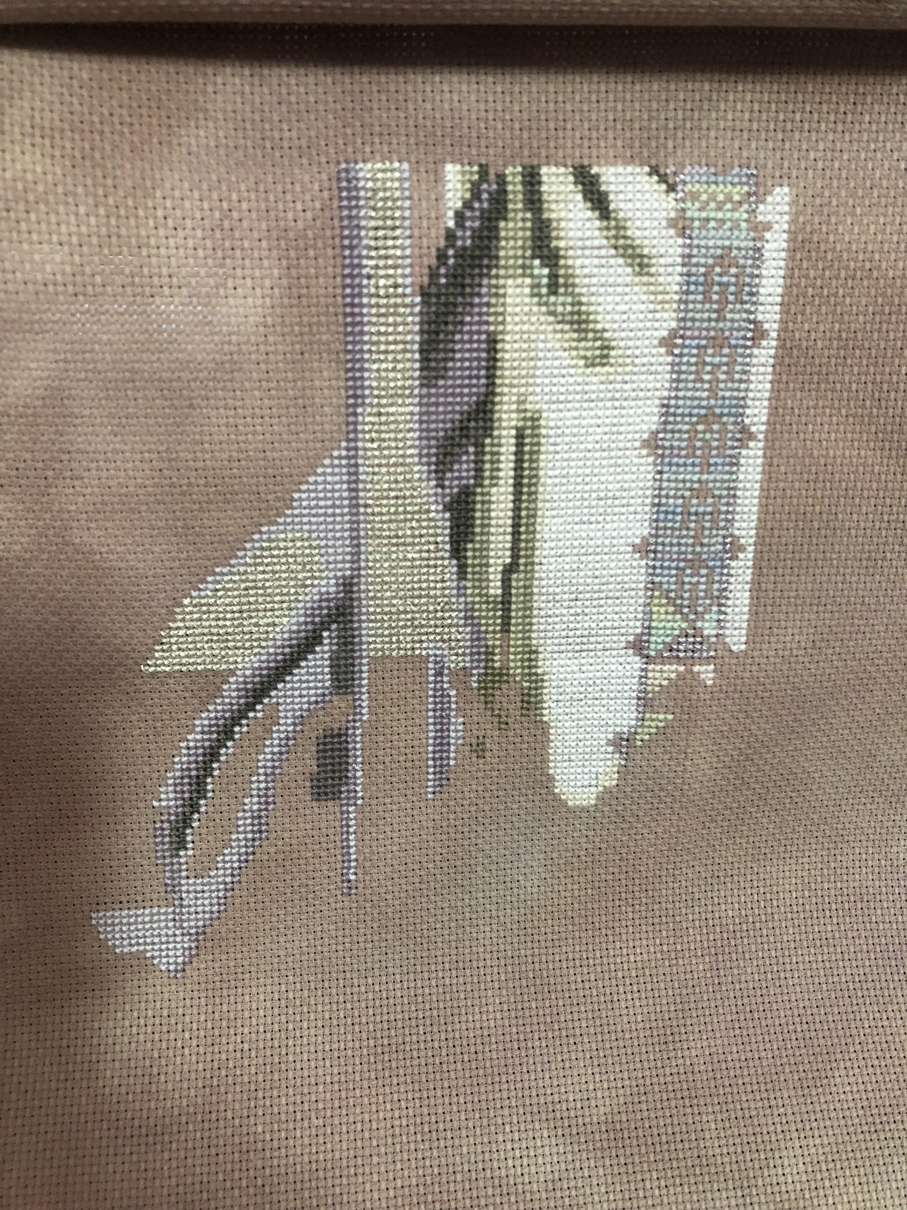 lady mirabilia start