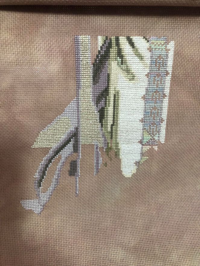 lady mirabilia start